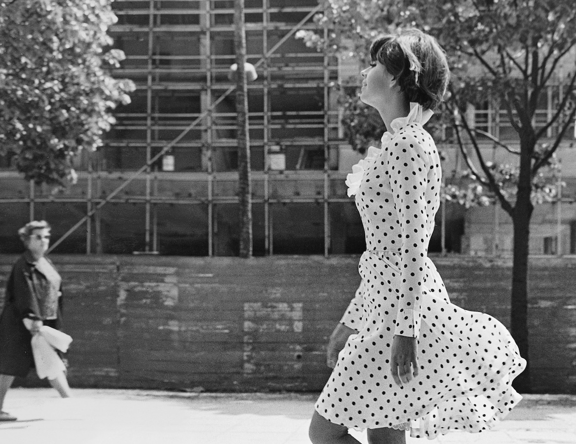 Bildbeschreibungstext